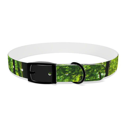 Forest Dog Collar