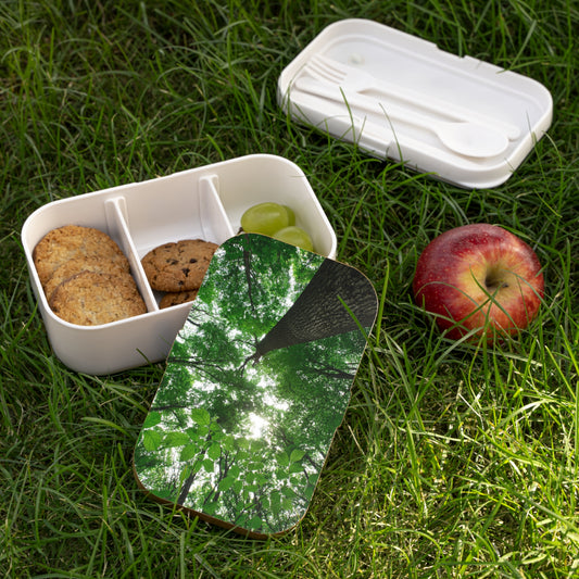 Forest Canopy Bento Lunch Box