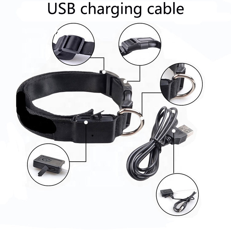 Pet Collar - USB RECHARGEABLE LED