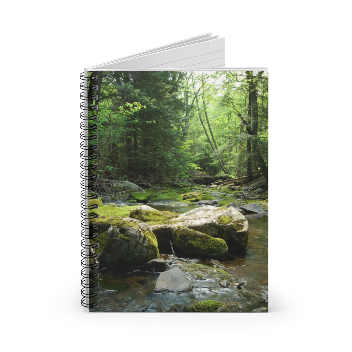 Walk in the Woods Spiral Notebook - Ruled Line