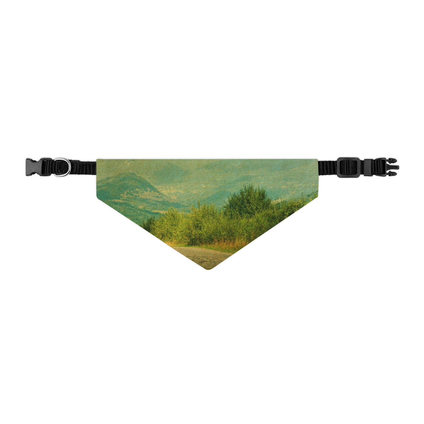 Pet Bandana Collar - Country Roads Design