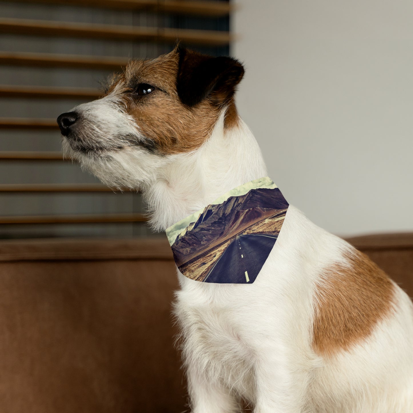 The Traveler Pet Bandana Collar