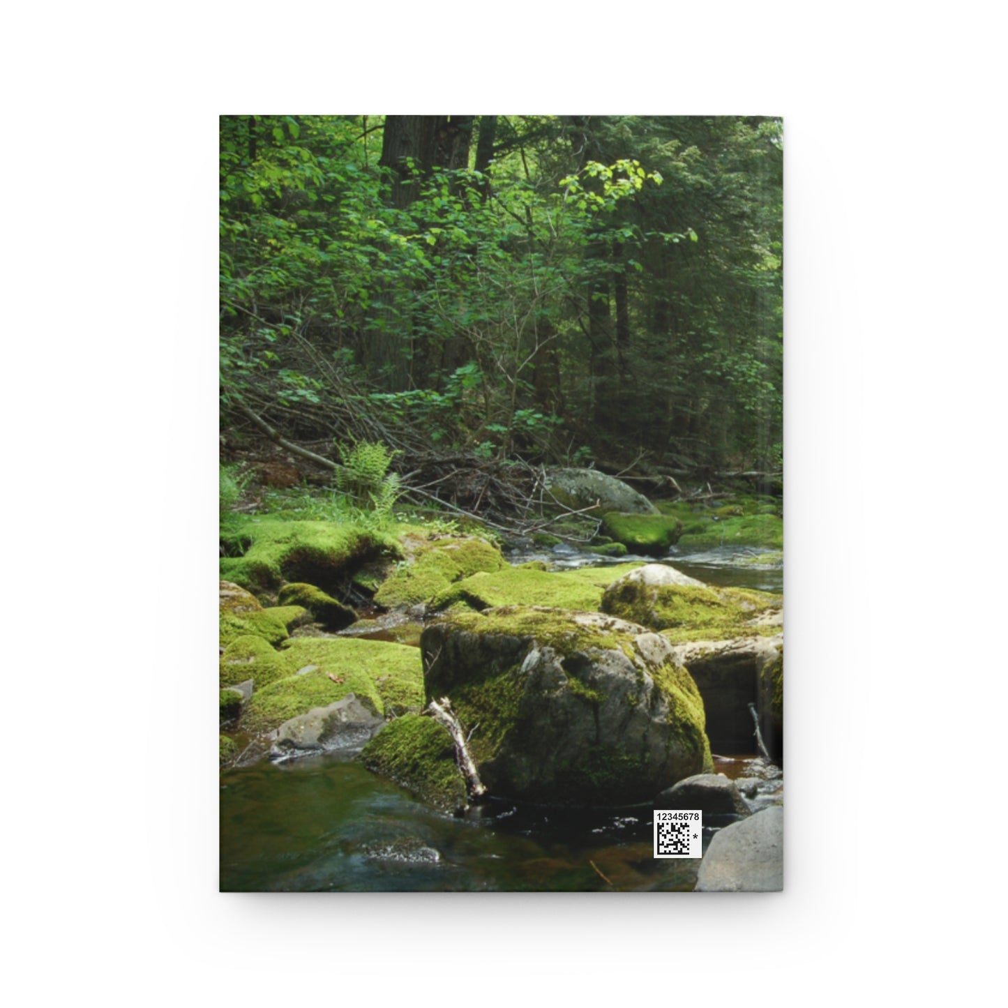 Walk In The Woods Hardcover Journal Matte