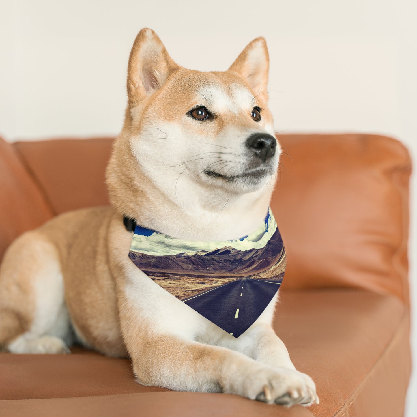 The Traveler Pet Bandana Collar