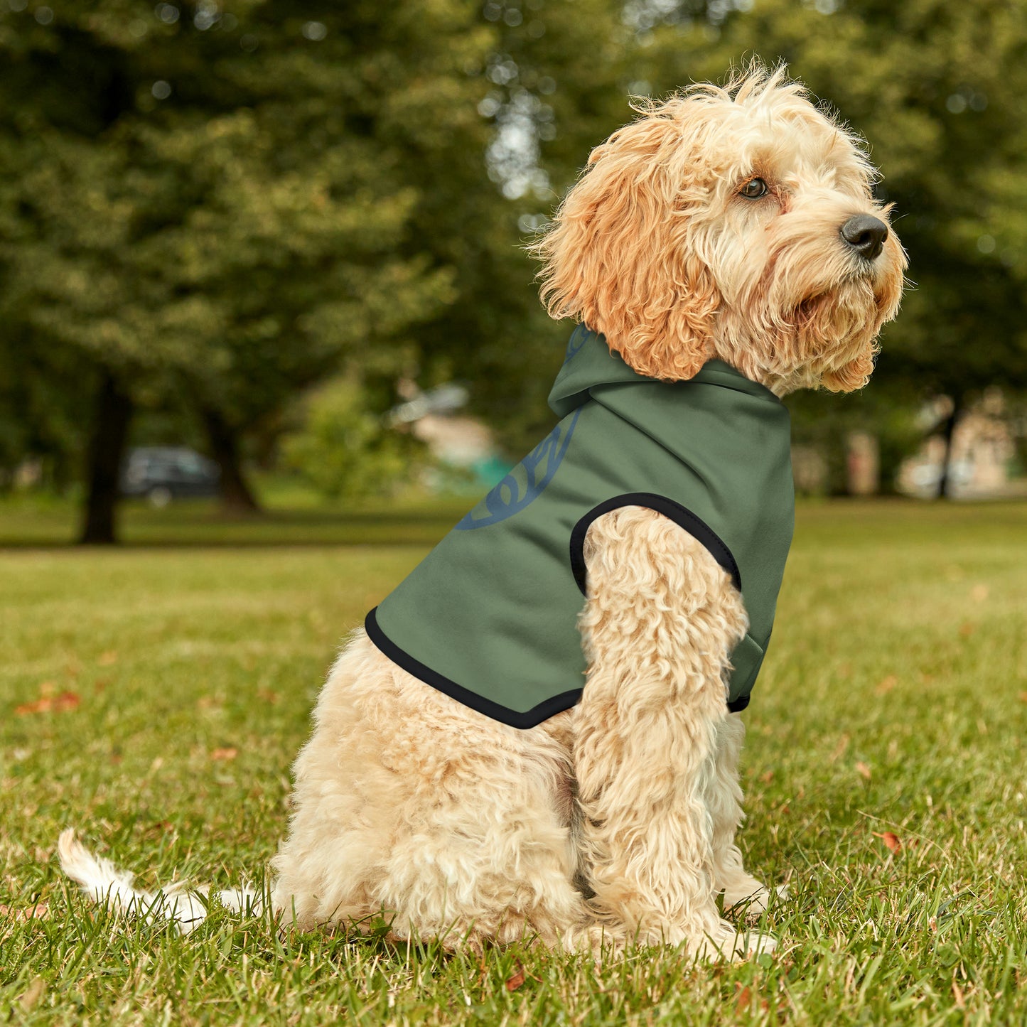 Mountain Pet Hoodie