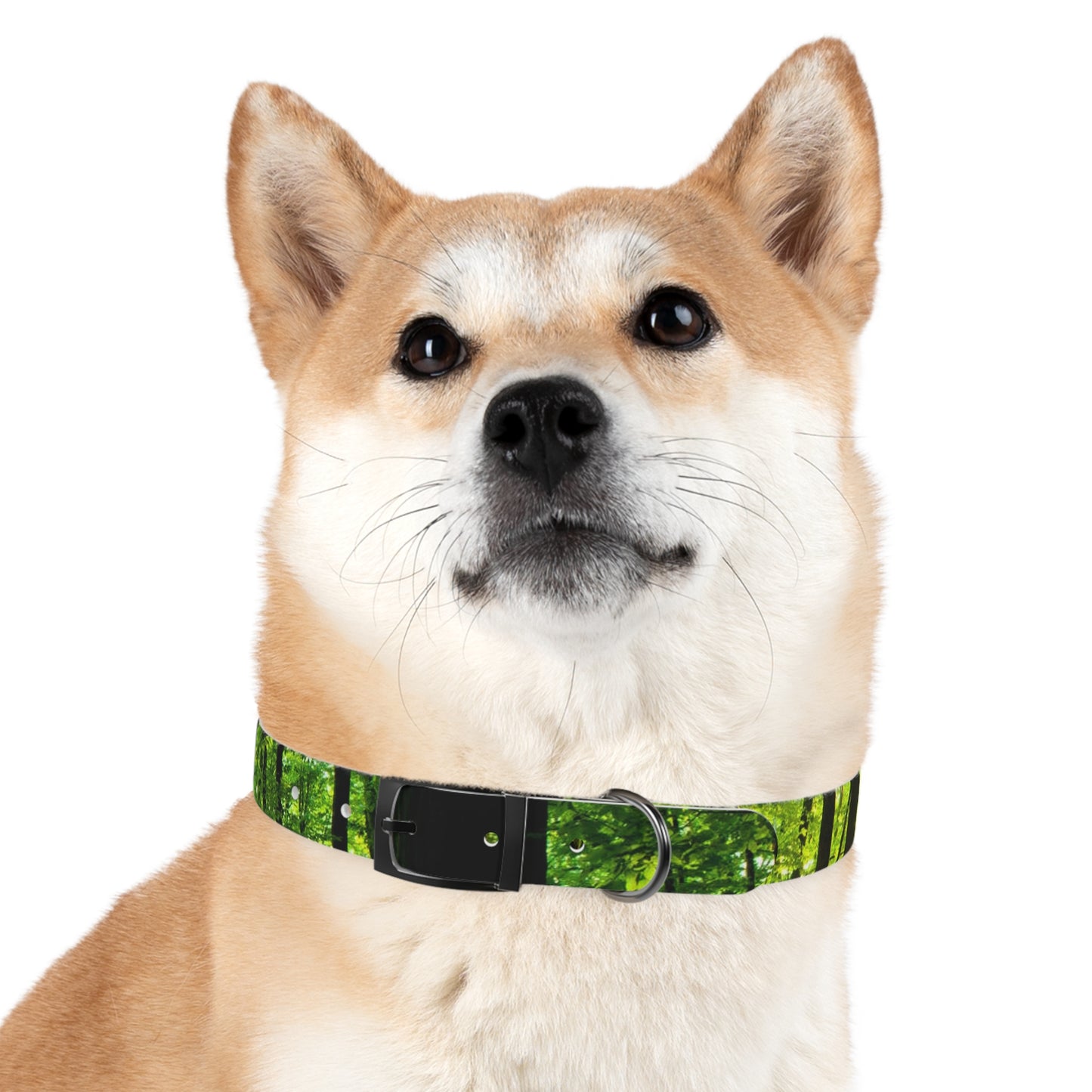 Forest Dog Collar