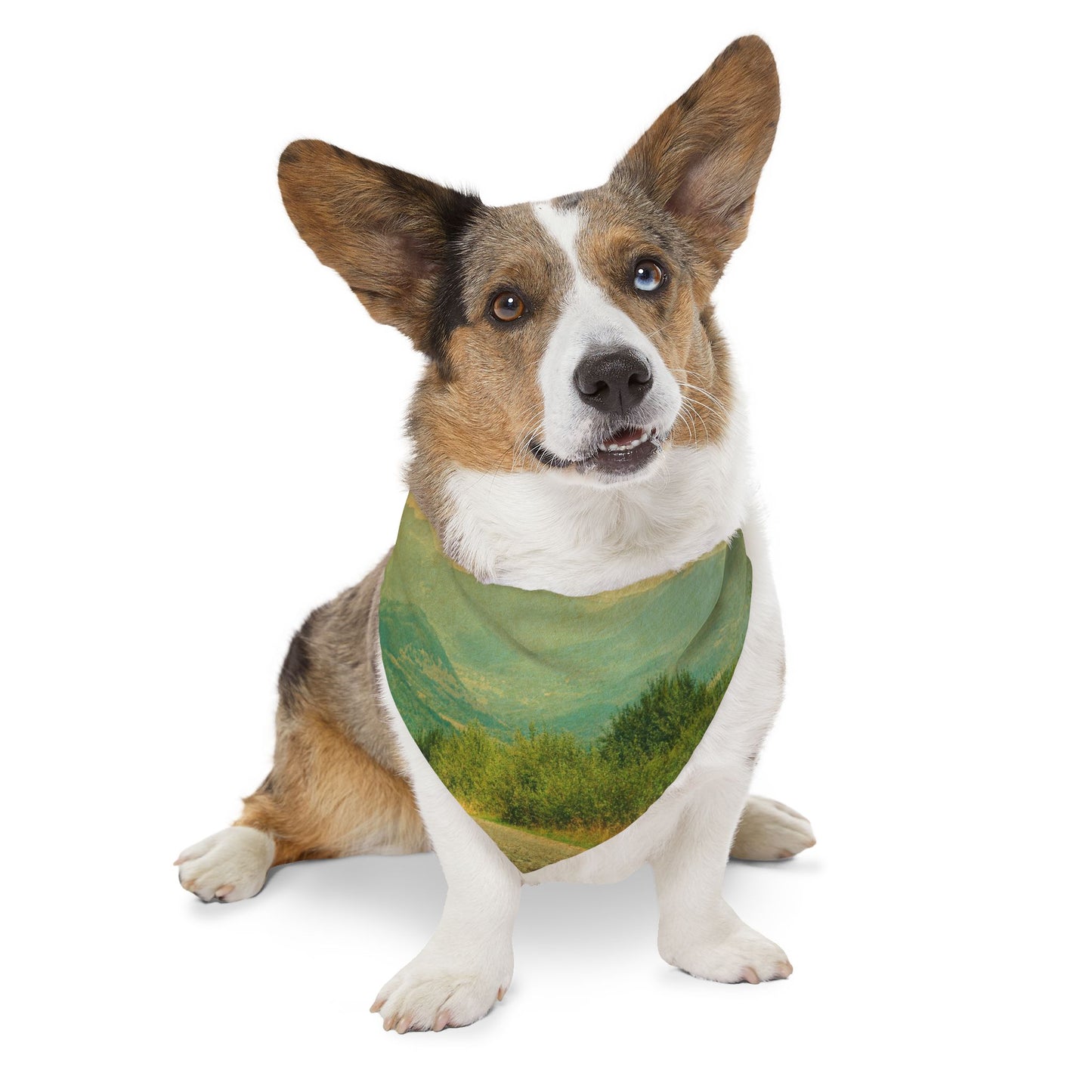 Pet Bandana Collar - Country Roads Design