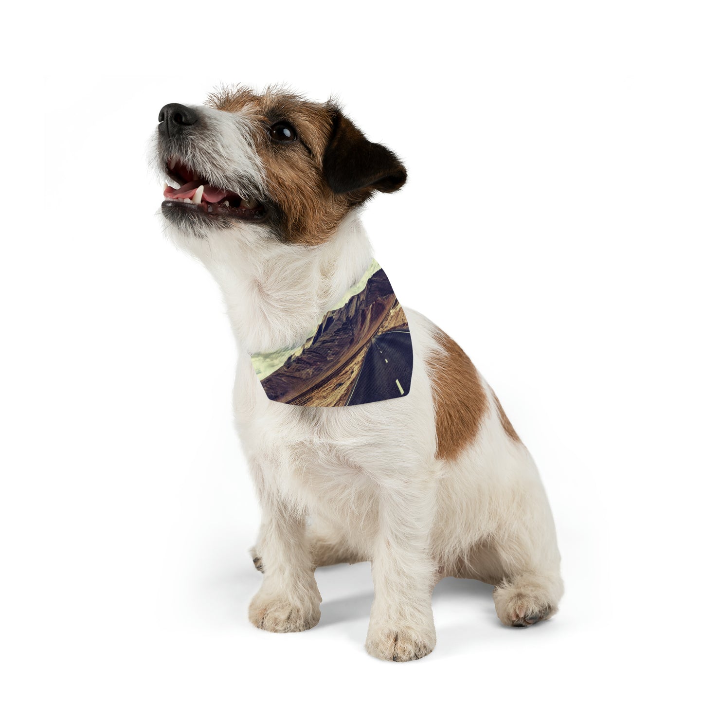 The Traveler Pet Bandana Collar