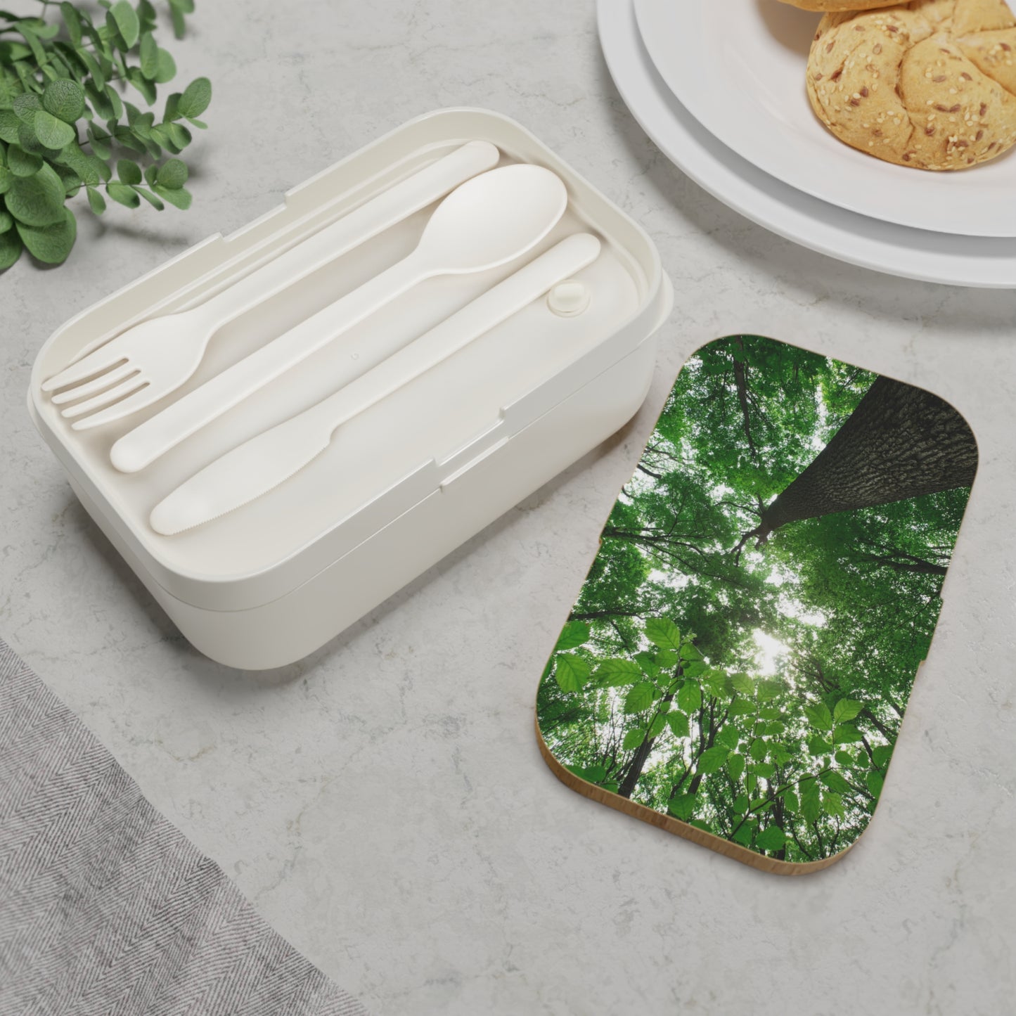 Forest Canopy Bento Lunch Box