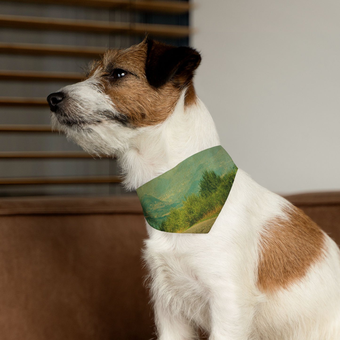 Pet Bandana Collar - Country Roads Design