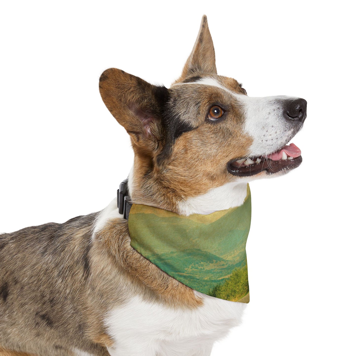 Pet Bandana Collar - Country Roads Design