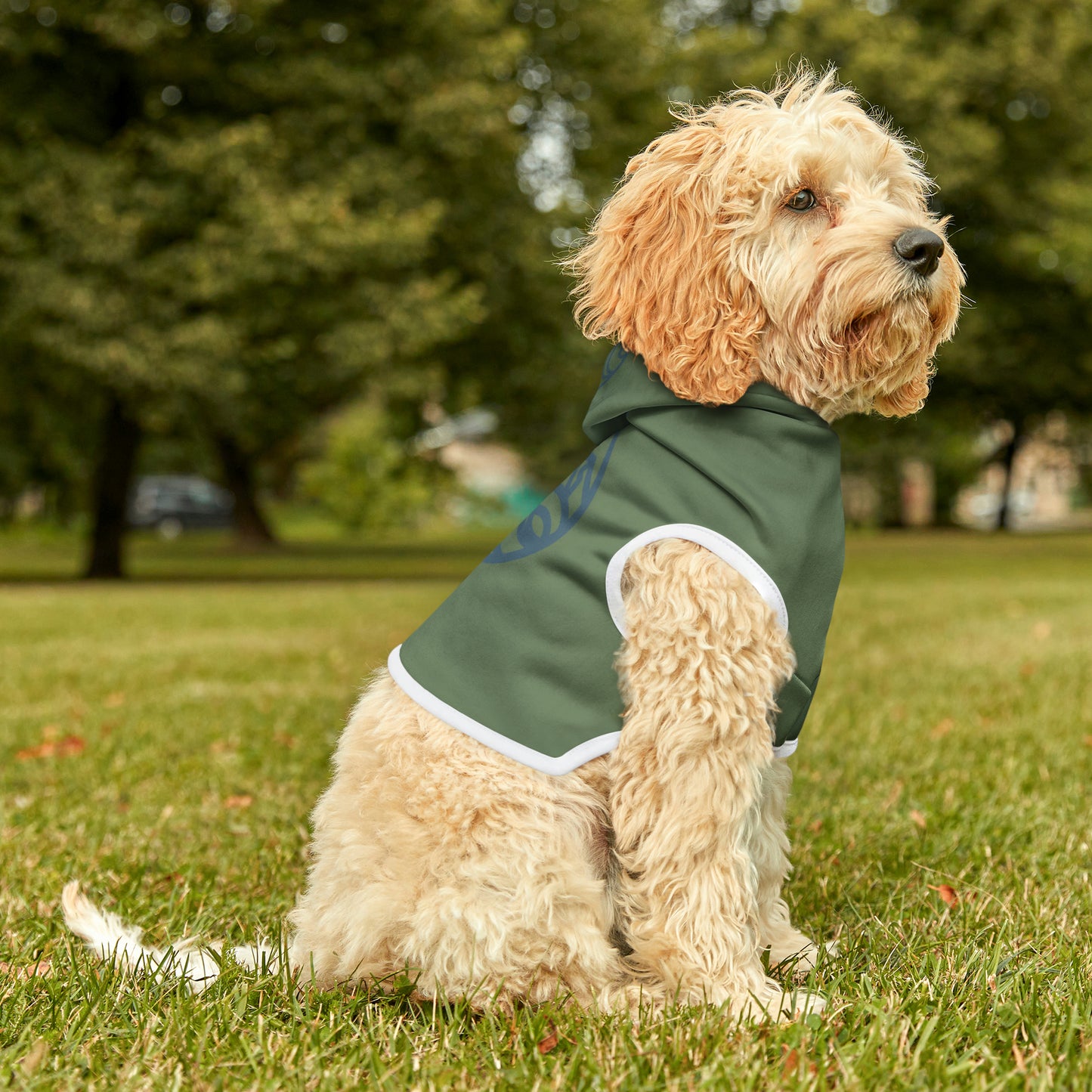 Mountain Pet Hoodie