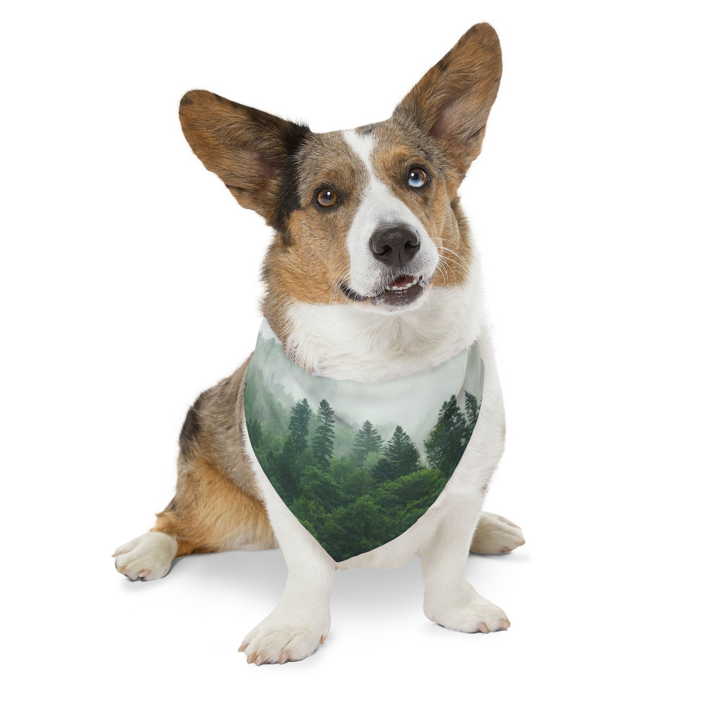 Foggy Mountain Pet Bandana Collar