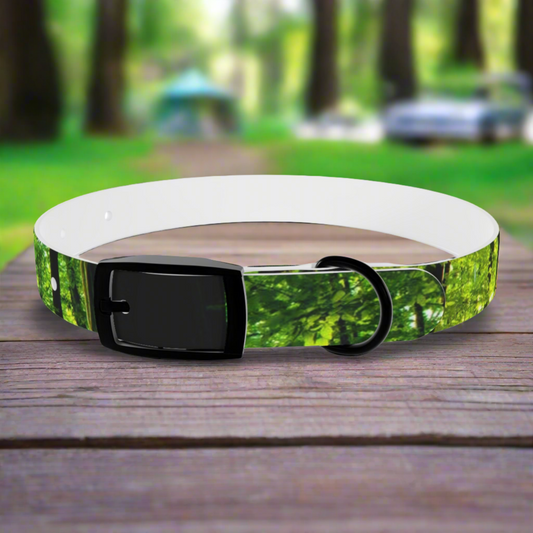 Forest Dog Collar