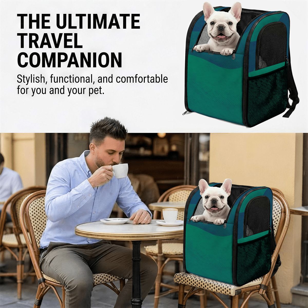 Pet Carrier Backpack - Blue Wave