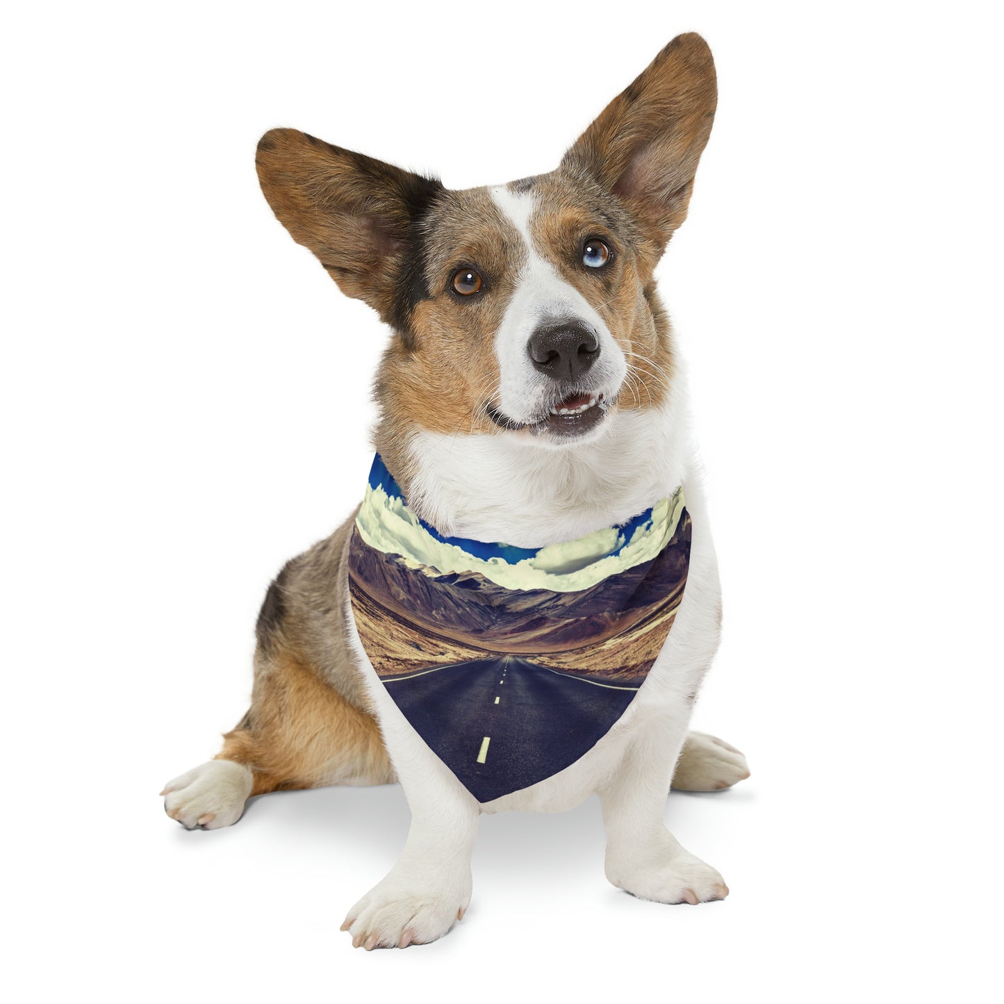 The Traveler Pet Bandana Collar