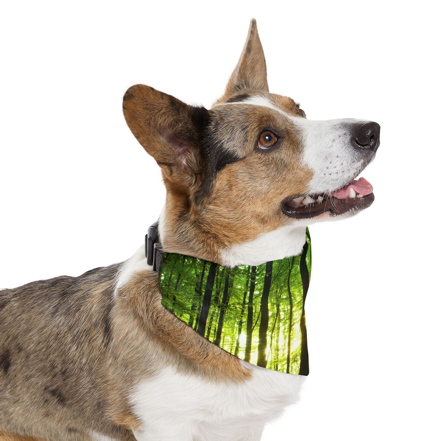 Pet Bandana Collar - Green Forest Design