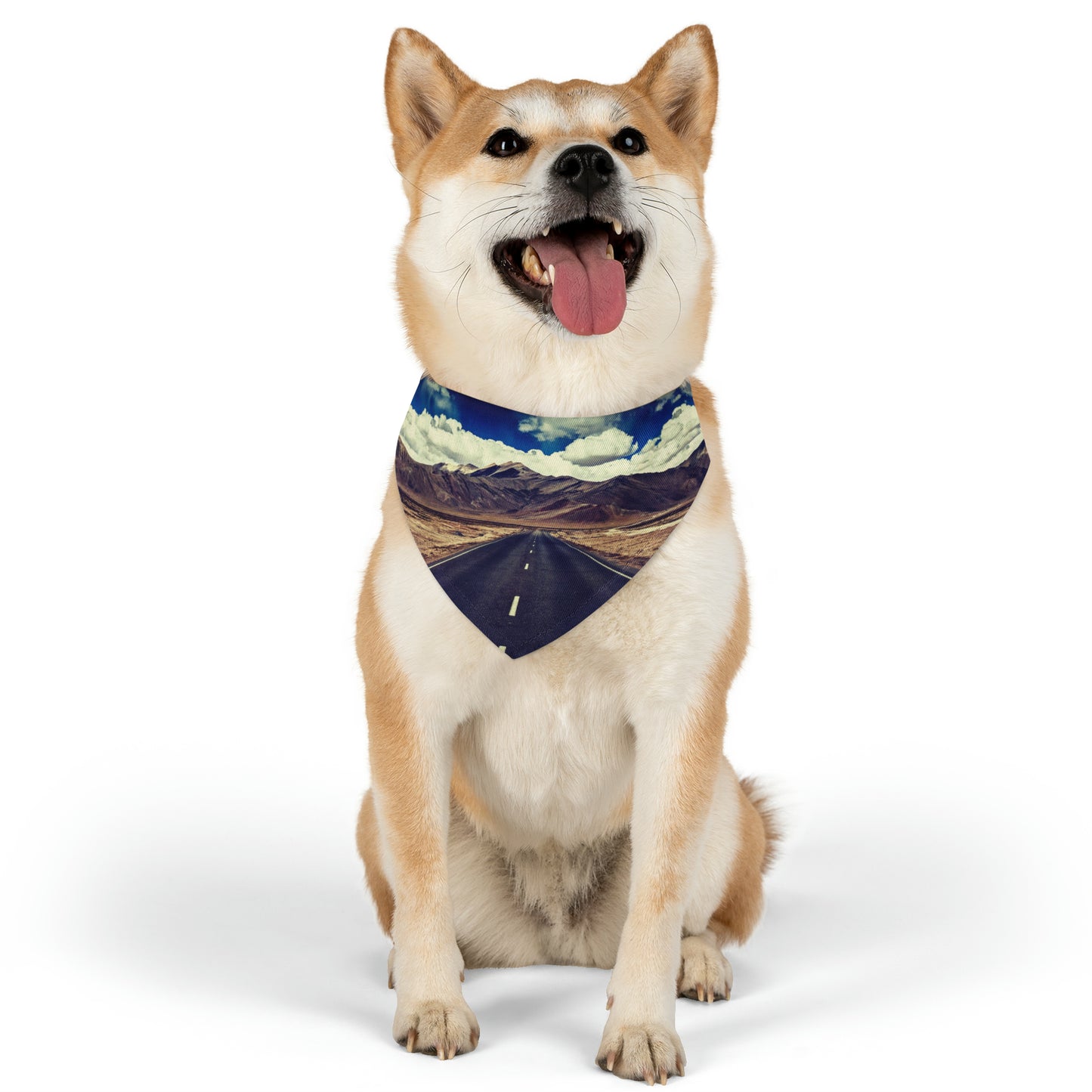 The Traveler Pet Bandana Collar