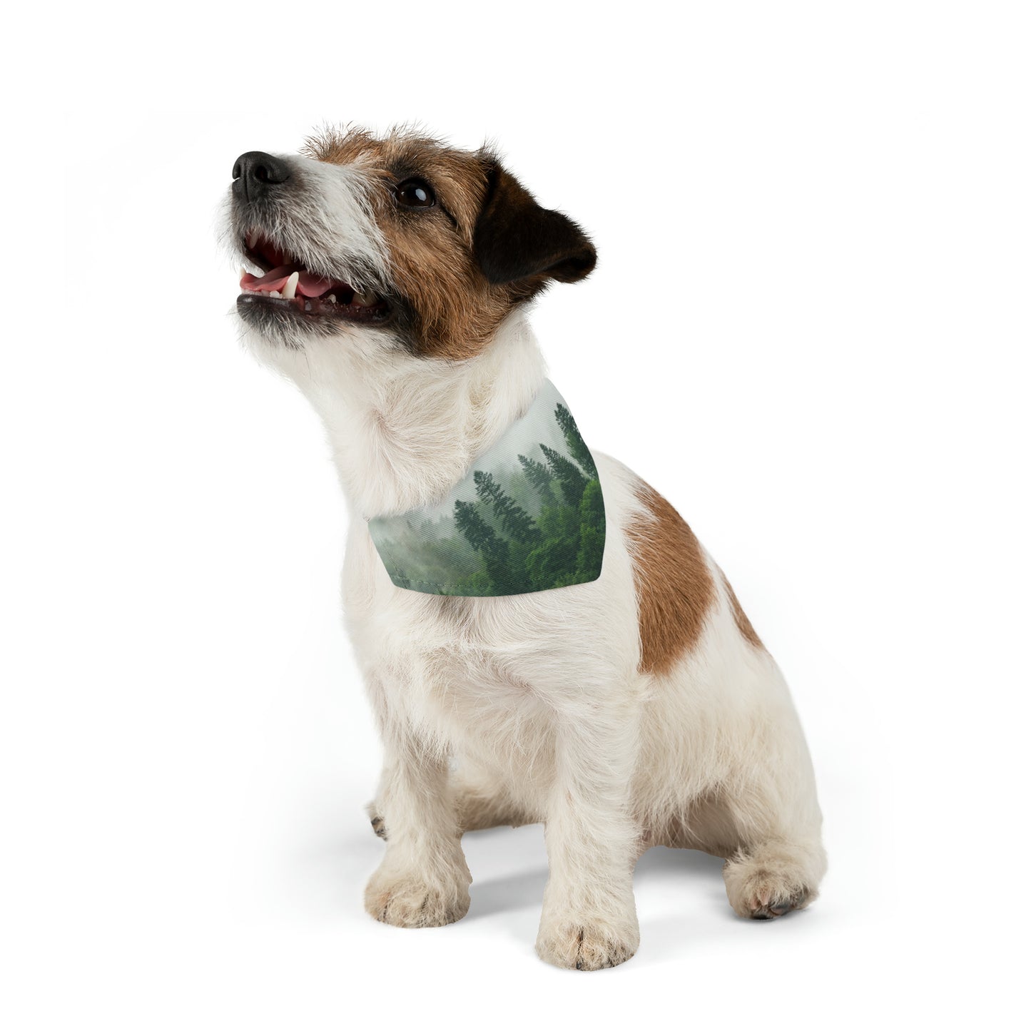 Foggy Mountain Pet Bandana Collar