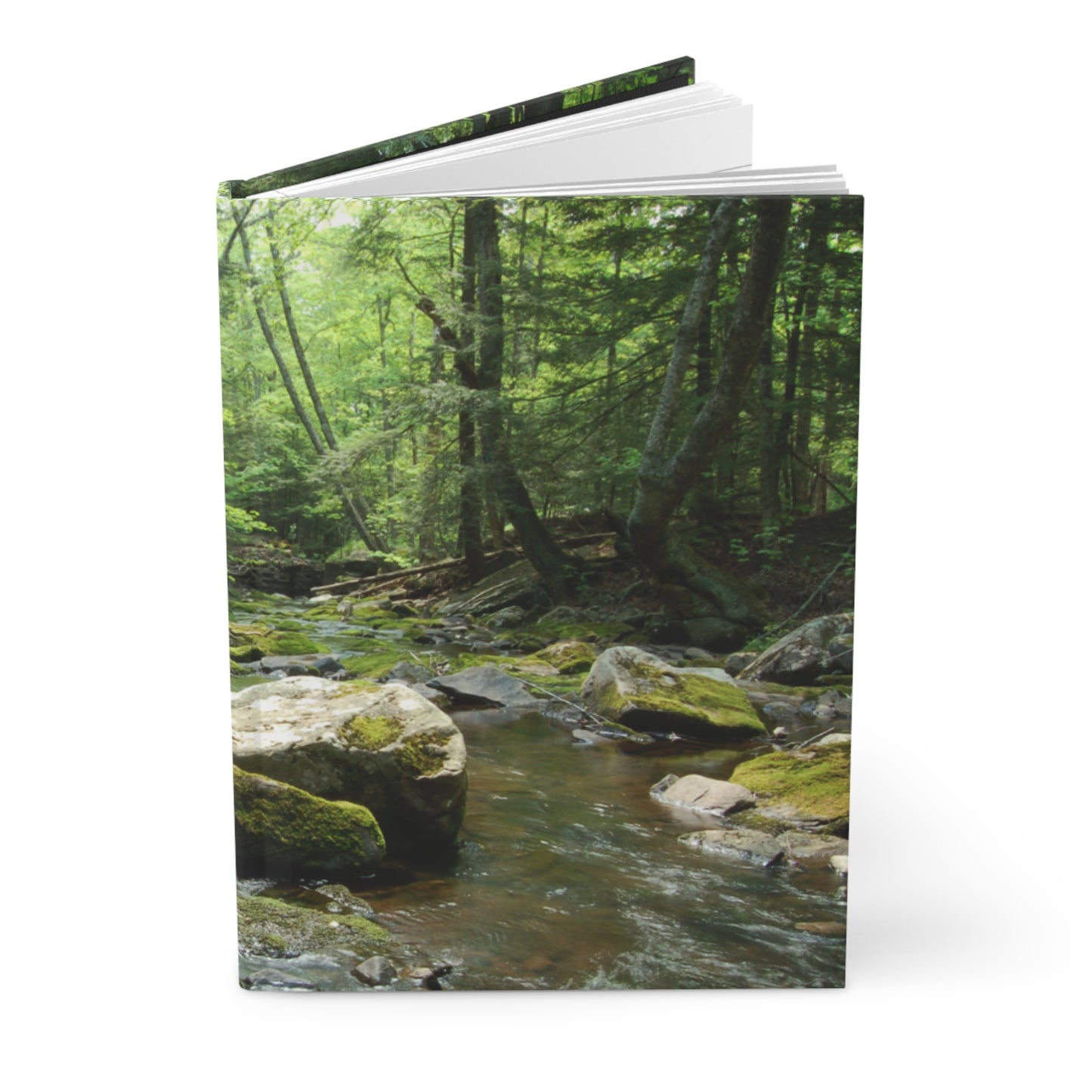 Walk In The Woods Hardcover Journal Matte