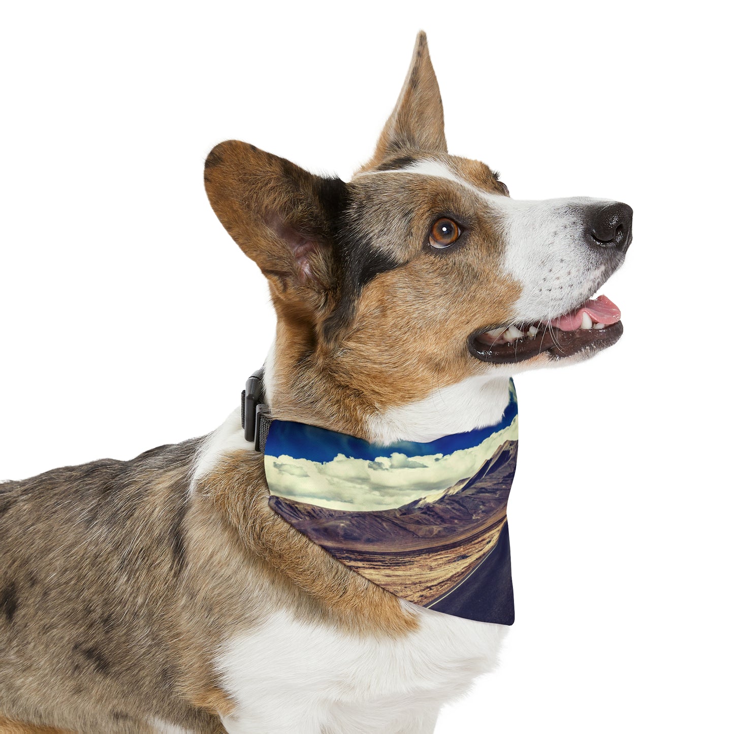 The Traveler Pet Bandana Collar