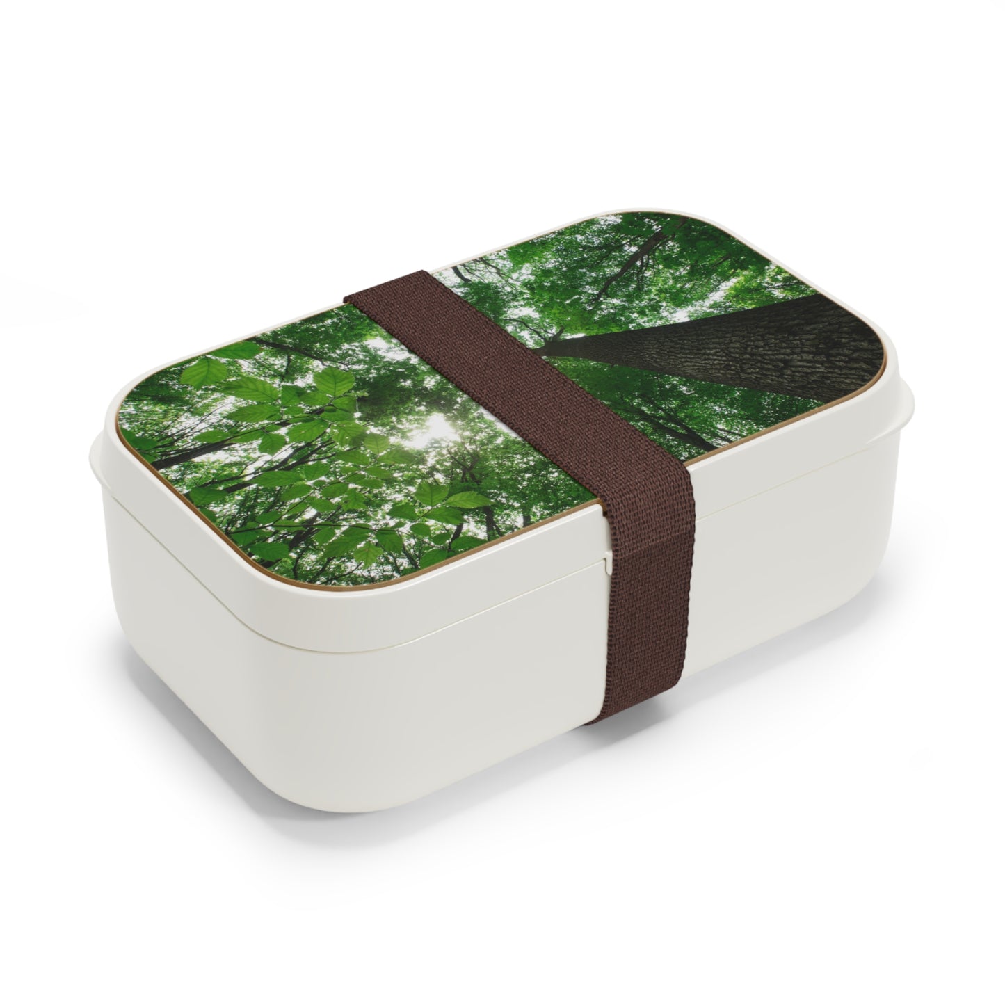 Forest Canopy Bento Lunch Box