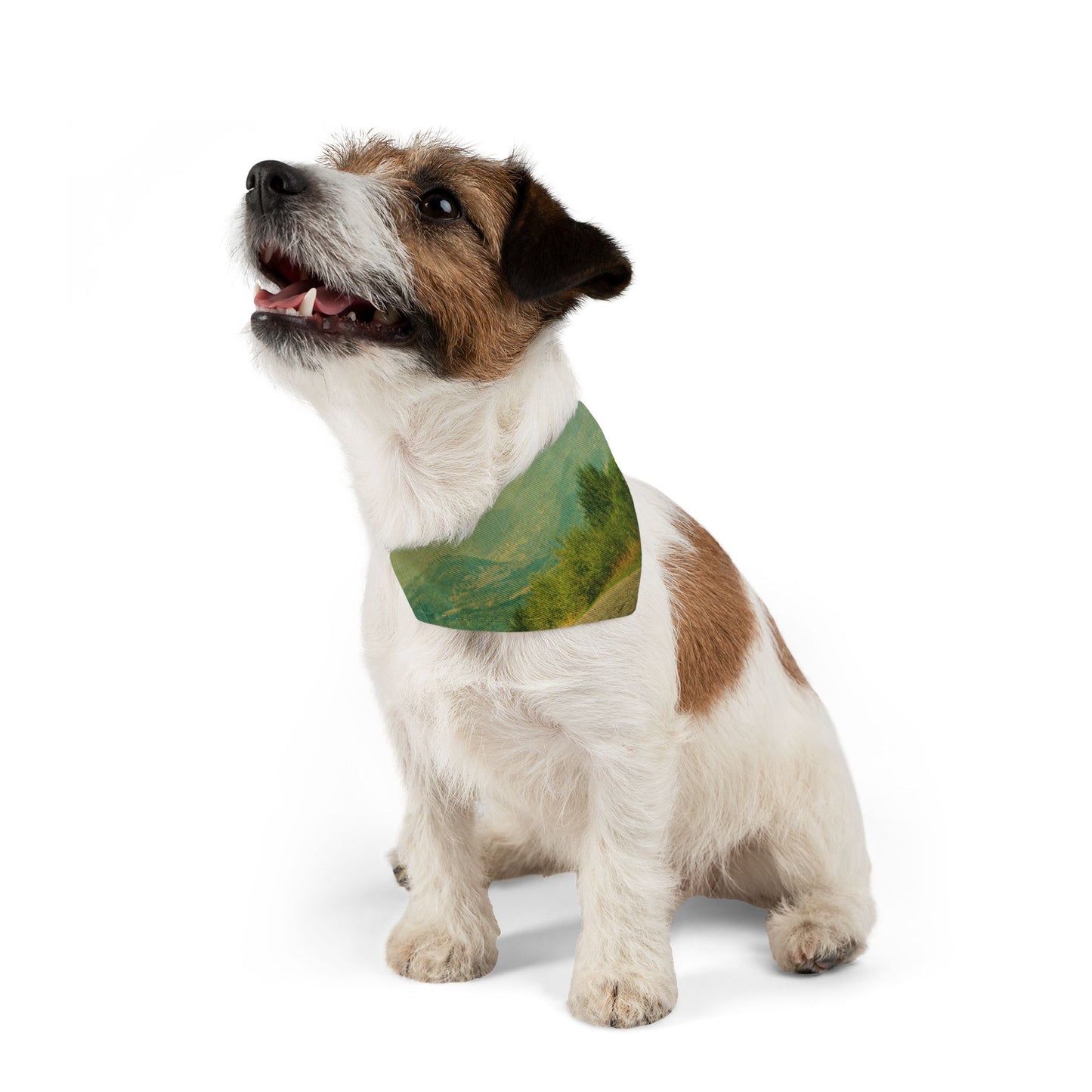 Pet Bandana Collar - Country Roads Design