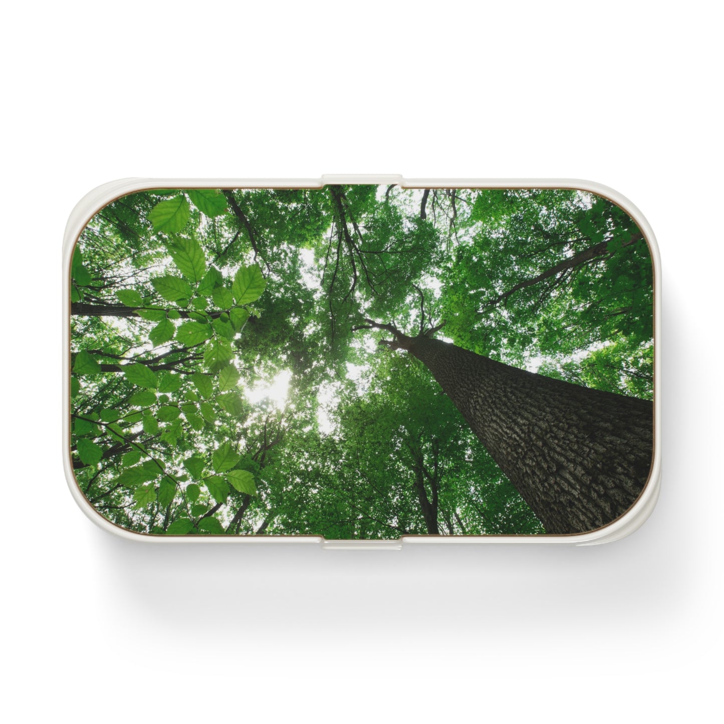 Forest Canopy Bento Lunch Box