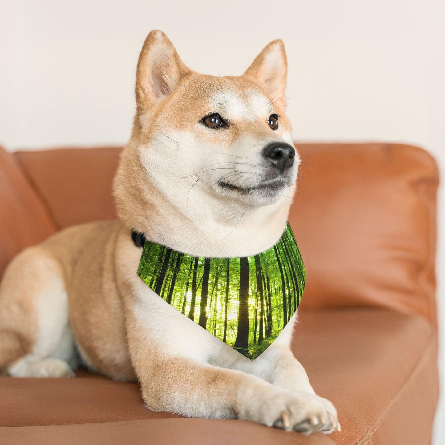 Pet Bandana Collar - Green Forest Design