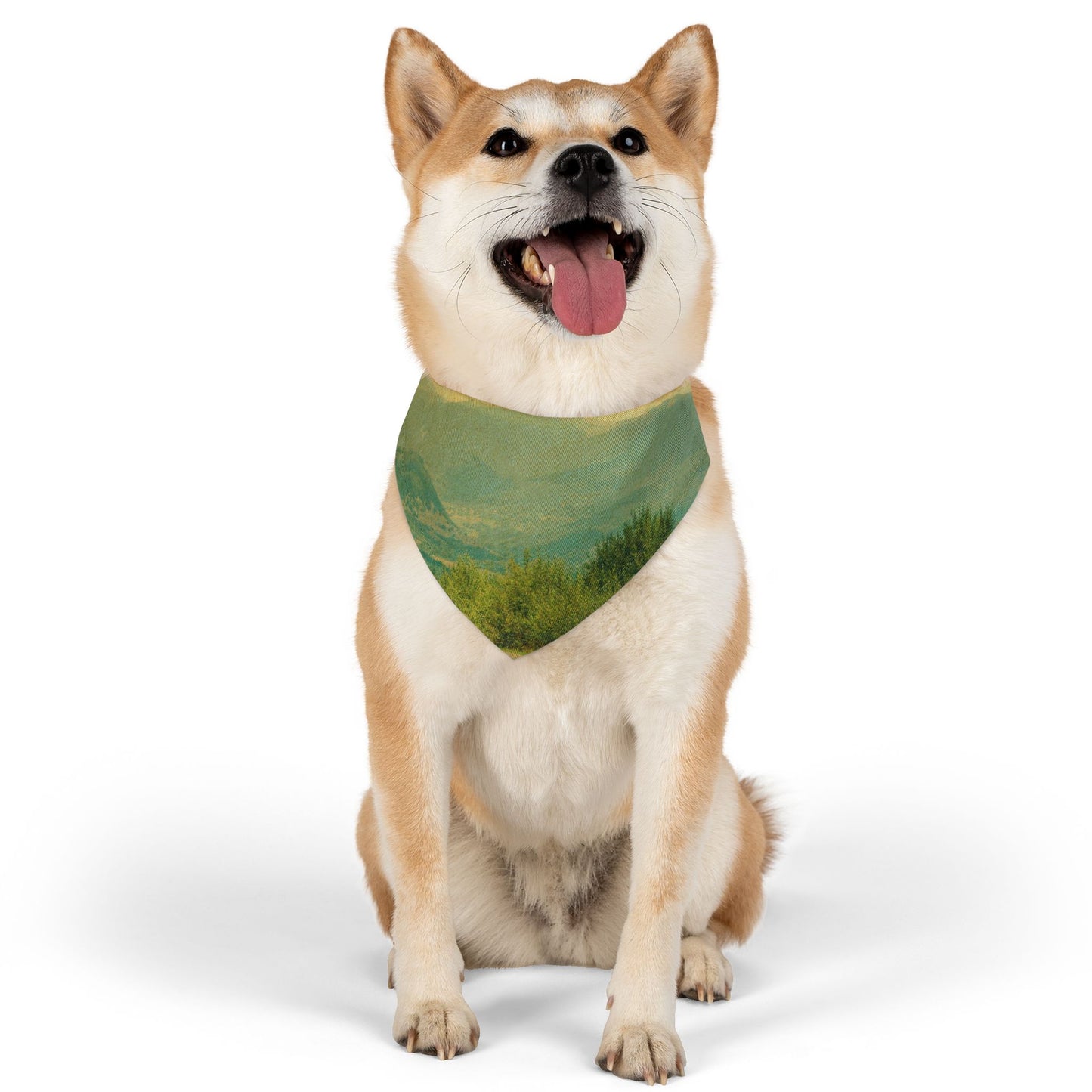 Pet Bandana Collar - Country Roads Design