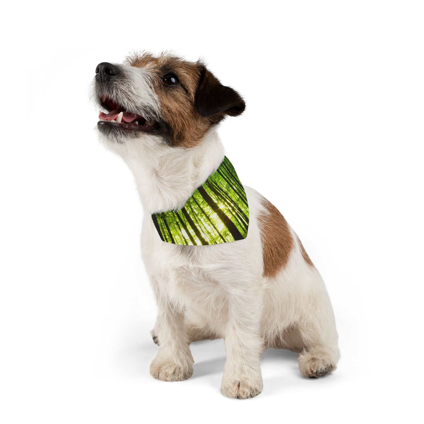 Pet Bandana Collar - Green Forest Design