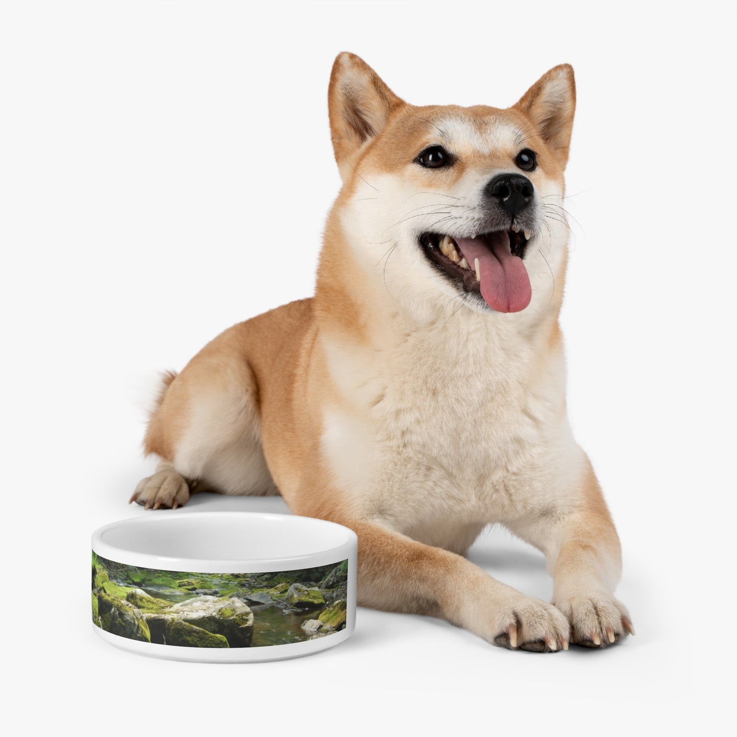 Forest Pet Bowl