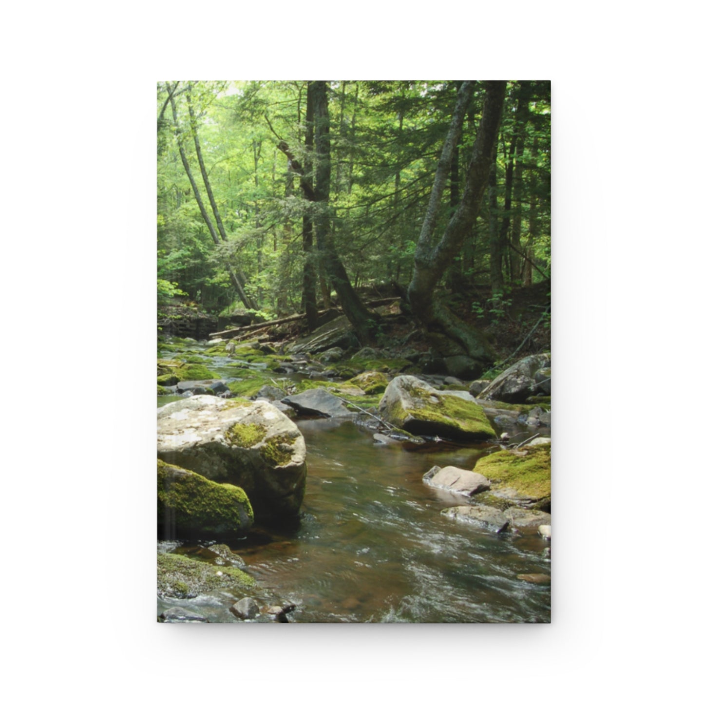 Walk In The Woods Hardcover Journal Matte