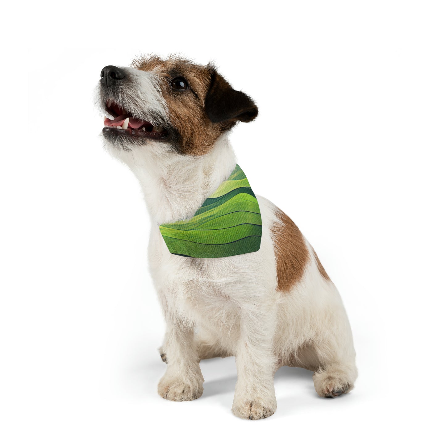 Green Waves Pet Bandana Collar