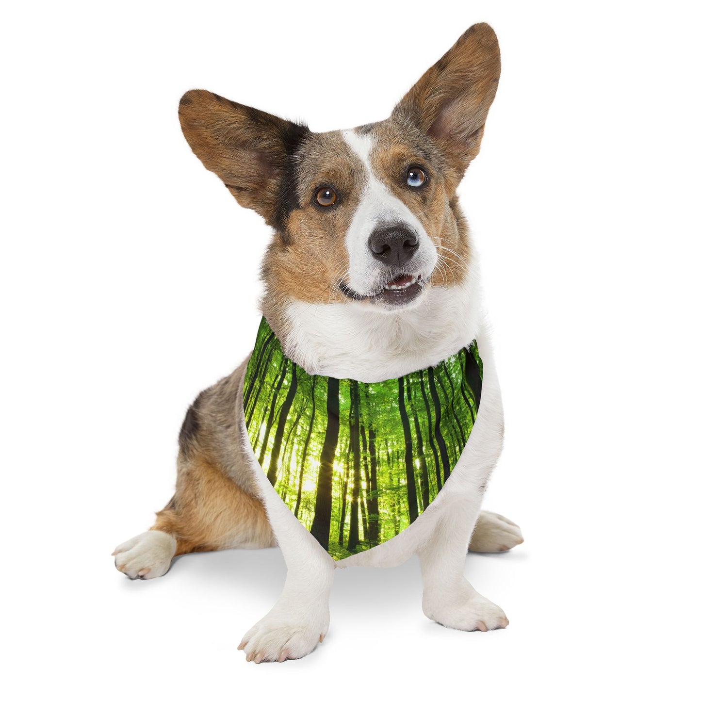 Pet Bandana Collar - Green Forest Design