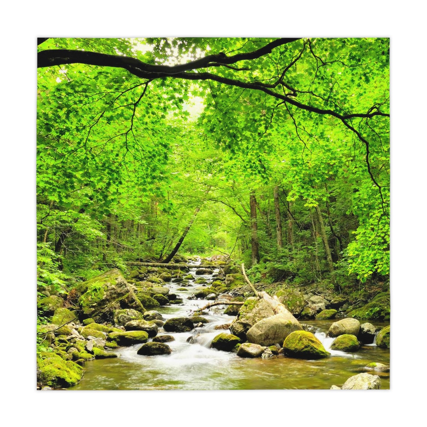 Forest Stream Tablecloth