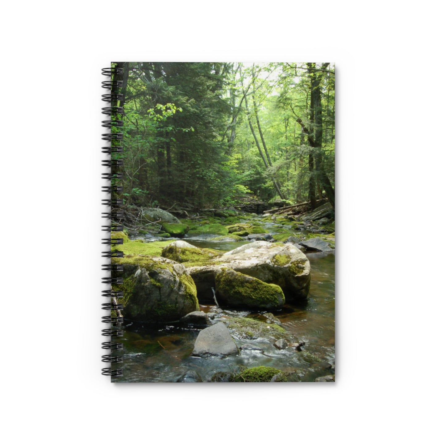 Walk in the Woods Spiral Notebook - Ruled Line